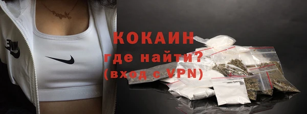 гашик Аркадак