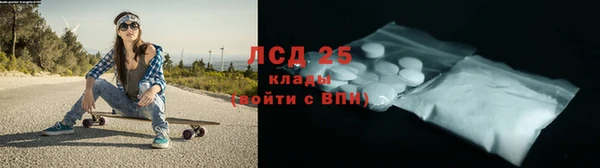 гашик Аркадак