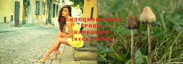 apvp Балабаново