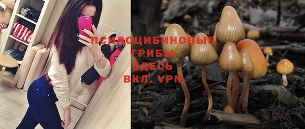 ГАЛЛЮЦИНОГЕННЫЕ ГРИБЫ Армянск