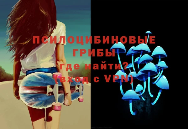 ГАЛЛЮЦИНОГЕННЫЕ ГРИБЫ Армянск