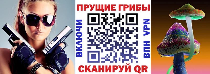 hydra   Олёкминск  Галлюциногенные грибы Magic Shrooms 